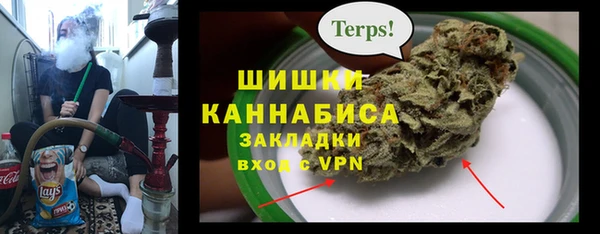 гашик Гусев