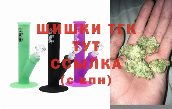 гашик Гусев