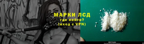 гашик Гусев