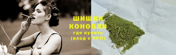 гашик Гусев
