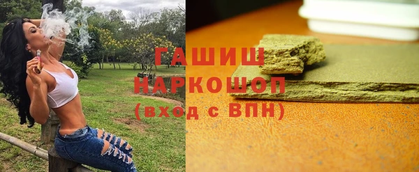 гашик Гусев