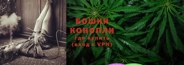 гашик Гусев