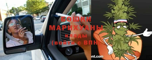 гашик Гусев
